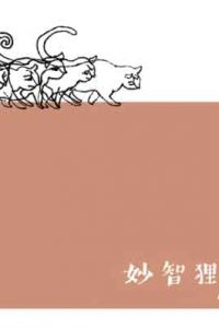 妙智狸奴 （繁）